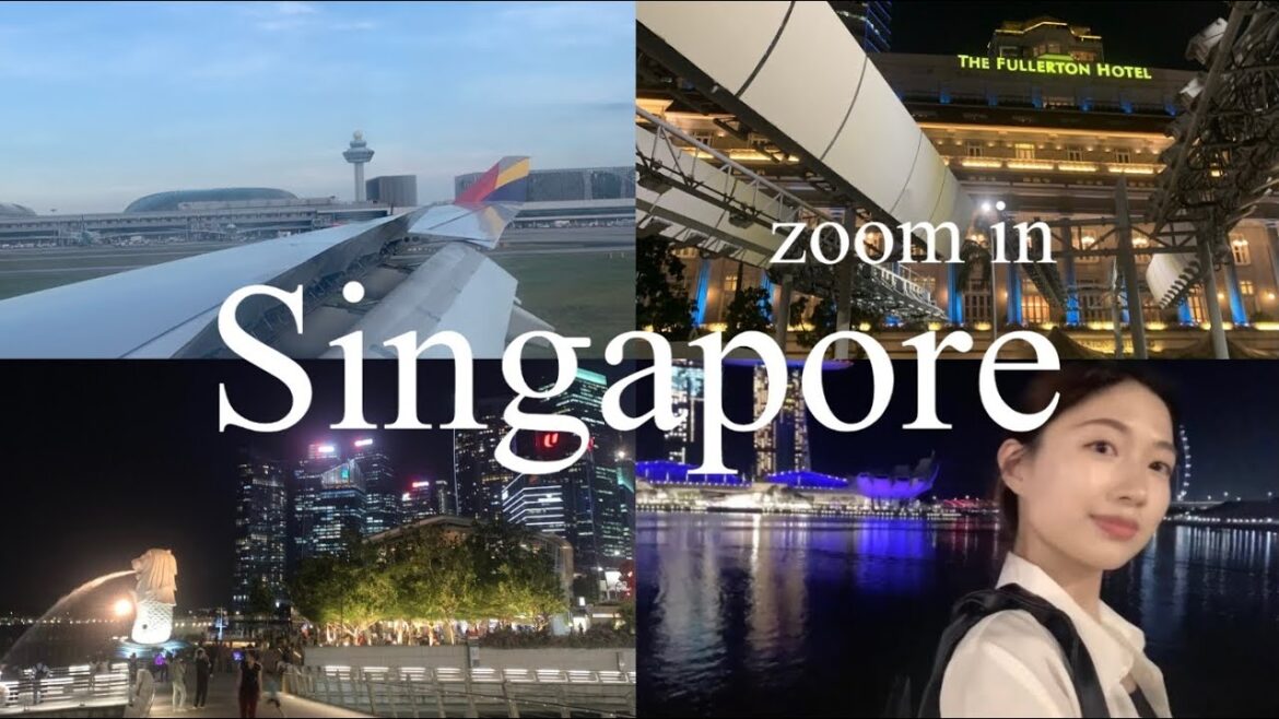 ENG sub) 싱가포르🇸🇬 혼자 여행 브이로그 | Singapore Travel Vlog 01.