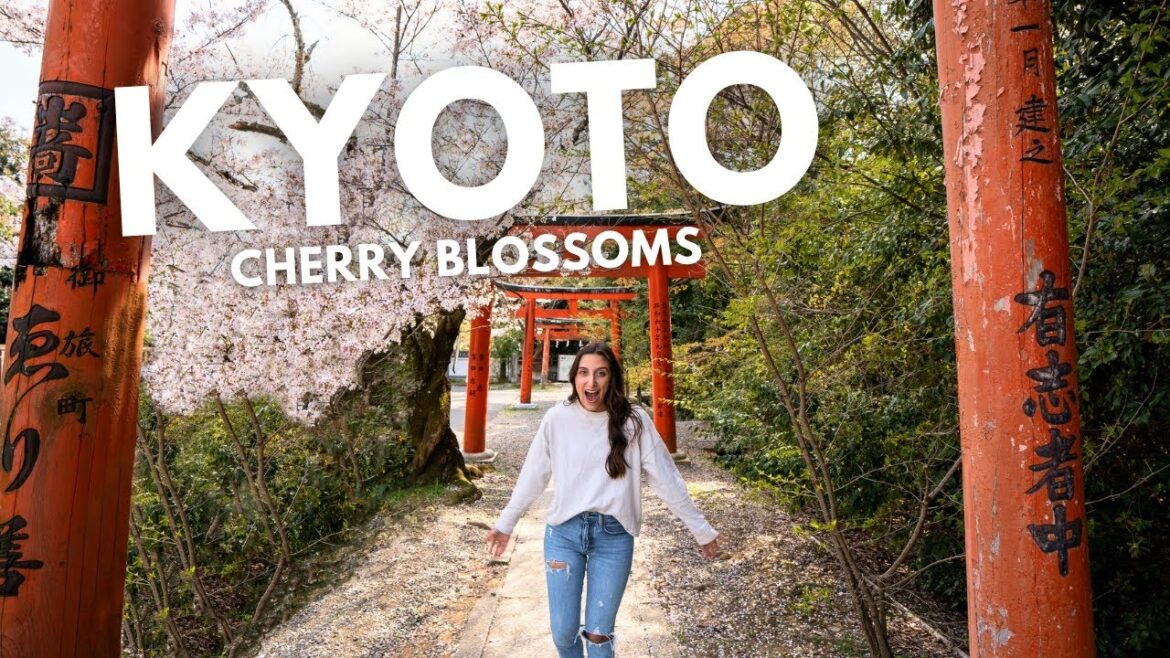 TOP 5 CHERRY BLOSSOM LOCATIONS you don't want to miss in KYOTO!