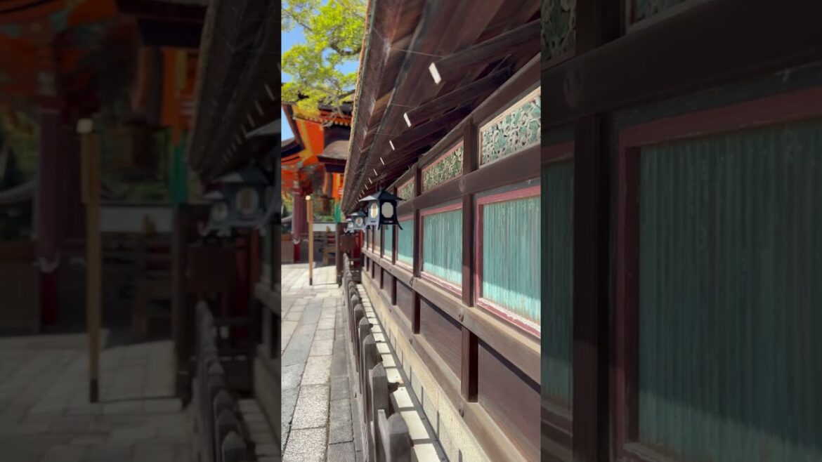 #temple #kyototemple #kyoto #japan #japantravel #youtubeshorts #cinematic