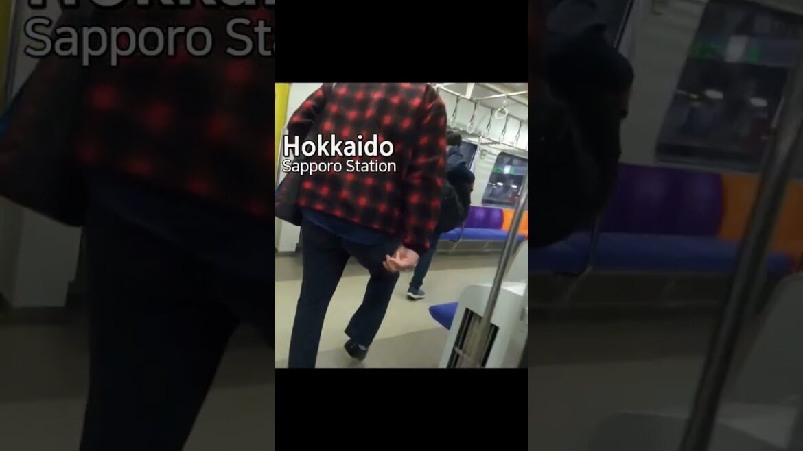 北海道の海を見に電車に乗りましたが