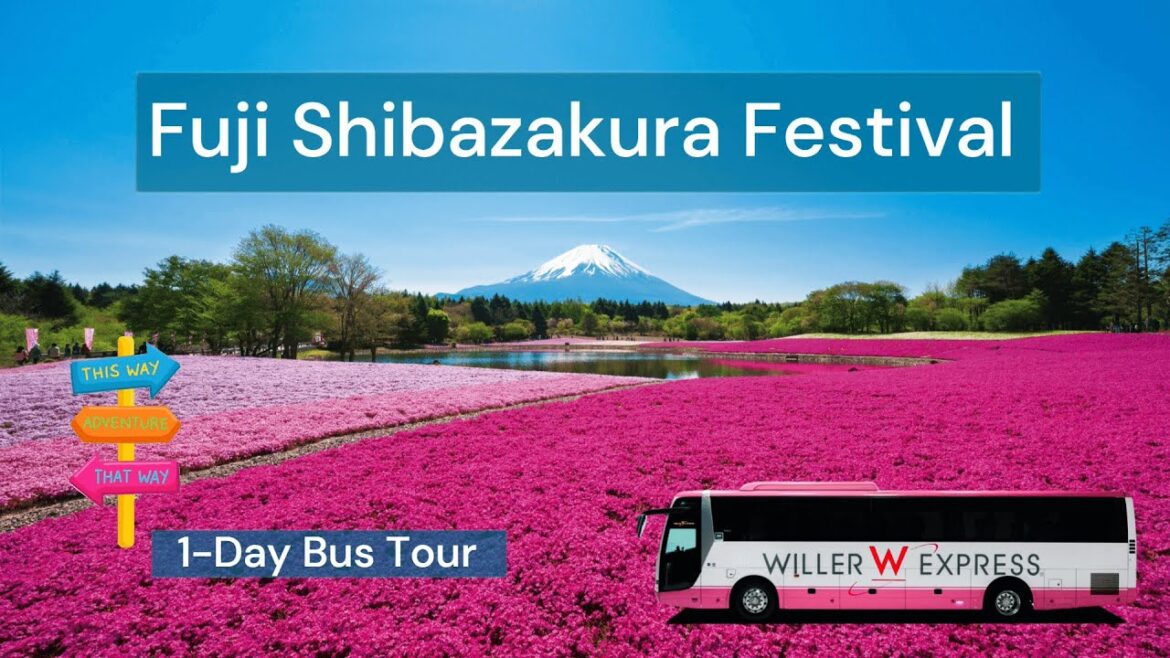 Mt. Fuji Shibazakura 1-Day Bus Tour