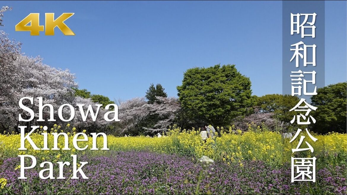 [Tokyo Park Walk] Showa Kinen Park Walking Tour Digest with Music - 4K 👀✨