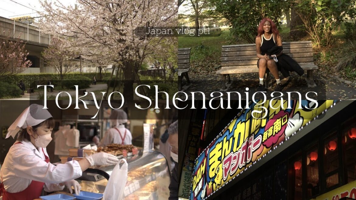 MY FIRST TIME IN JAPAN π―π΅ πΈ | Pt 1 Tokyo Shenanigans πΌ| first solo travel abroad | Japan travel vlog MY FIRST TIME IN JAPAN π―π΅ πΈ | Pt 1 Tokyo Shenanigans πΌ| first solo travel abroad | Japan travel vlog