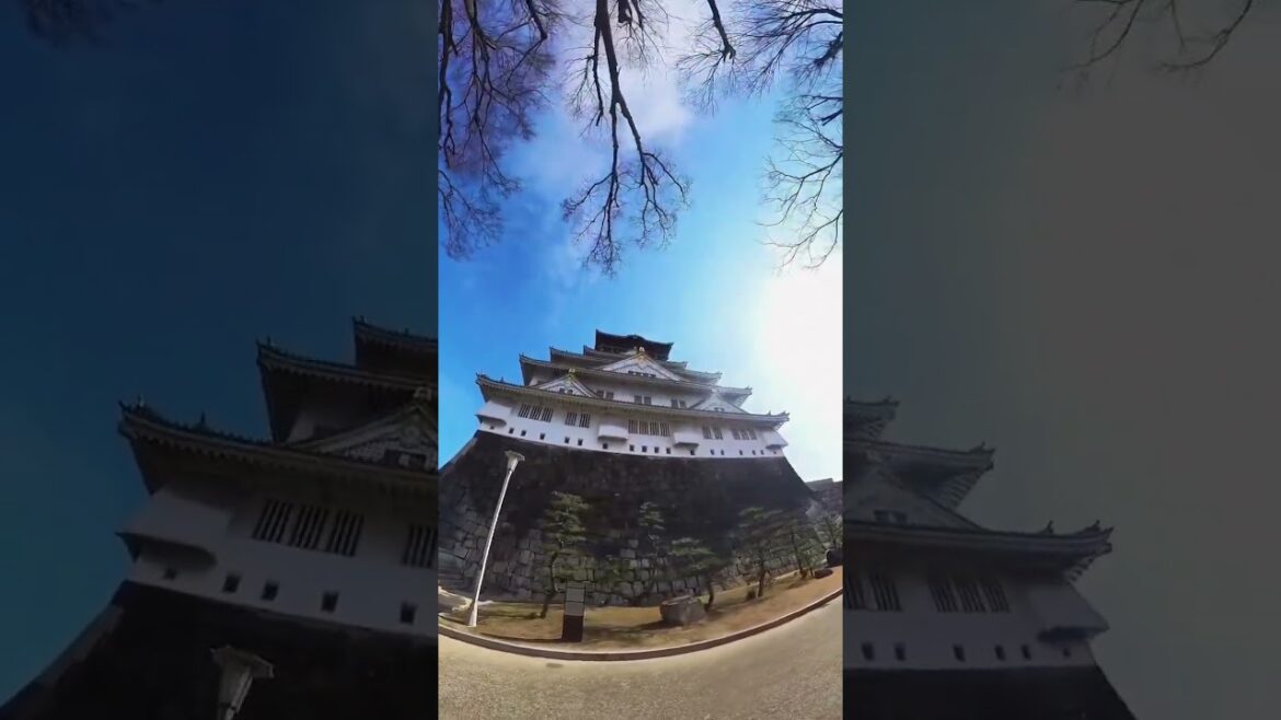 Osaka Castle #osakajapan #osaka #osakacastle #japan #japantravel #insta360x3 #insta360