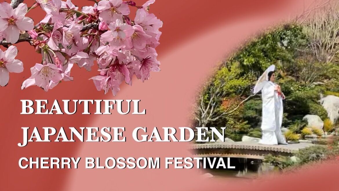 Ultimate 4K Cherry Blossom Festival Experience with Beautiful Music Balboa Park Japanese Garden
