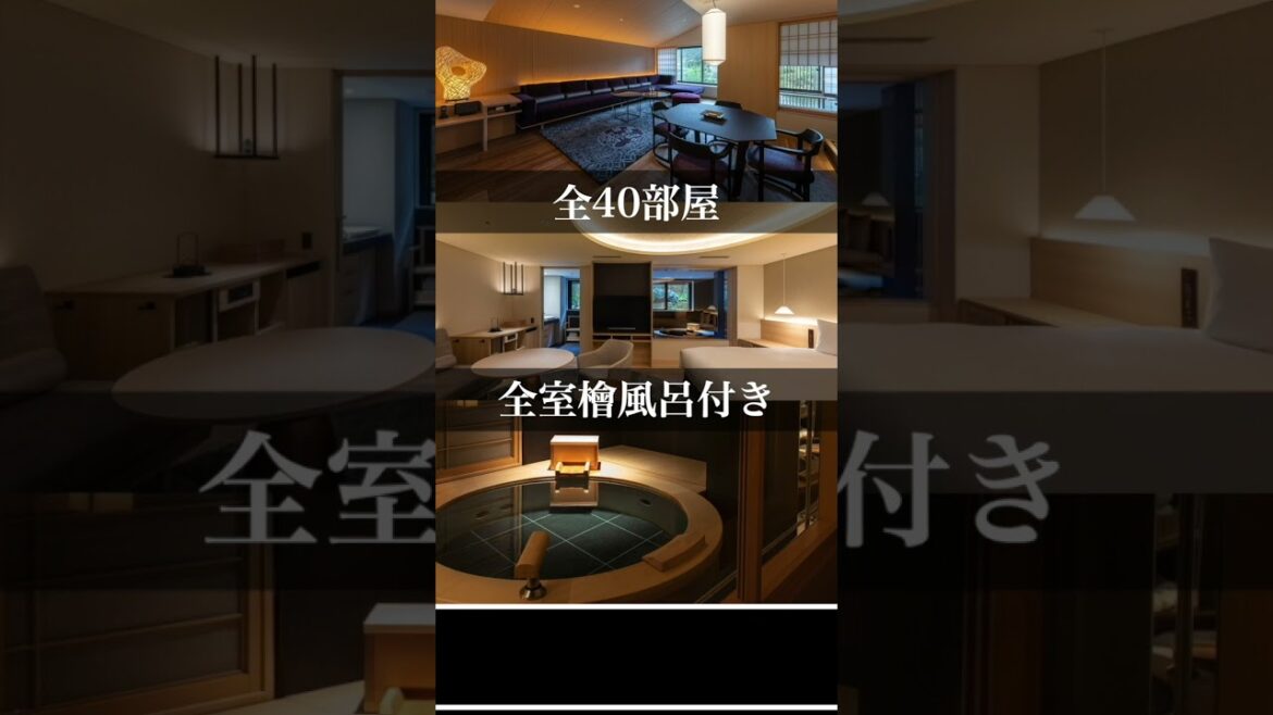 【京都洛東エリア】観光/旅行/デートにおすすめのホテルと旅館をご紹介!!#shorts