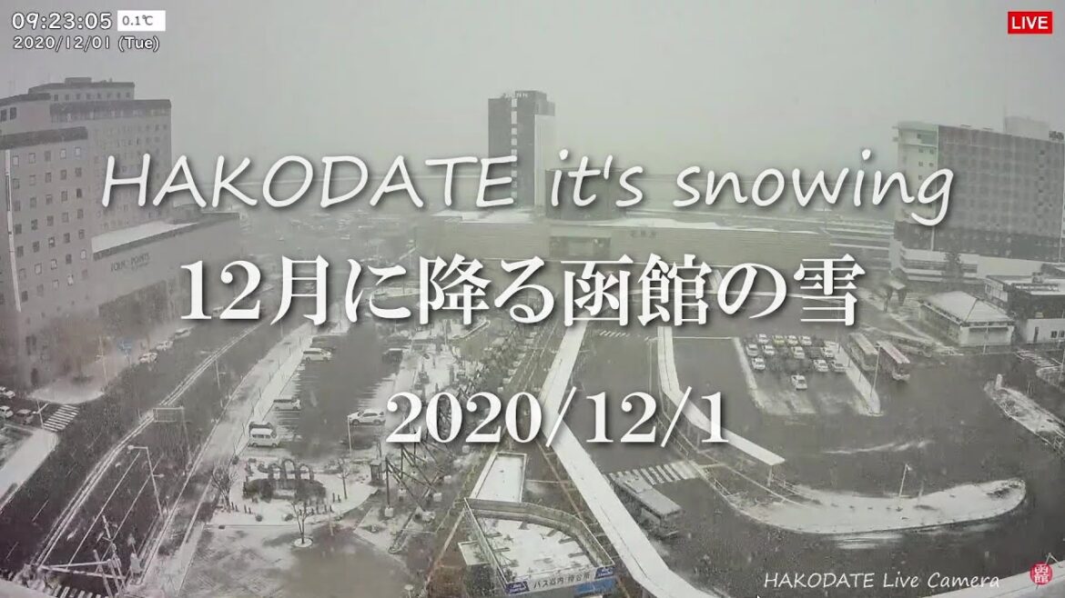 【Clips】12月に降る函館の雪  HAKODATE it's snowing