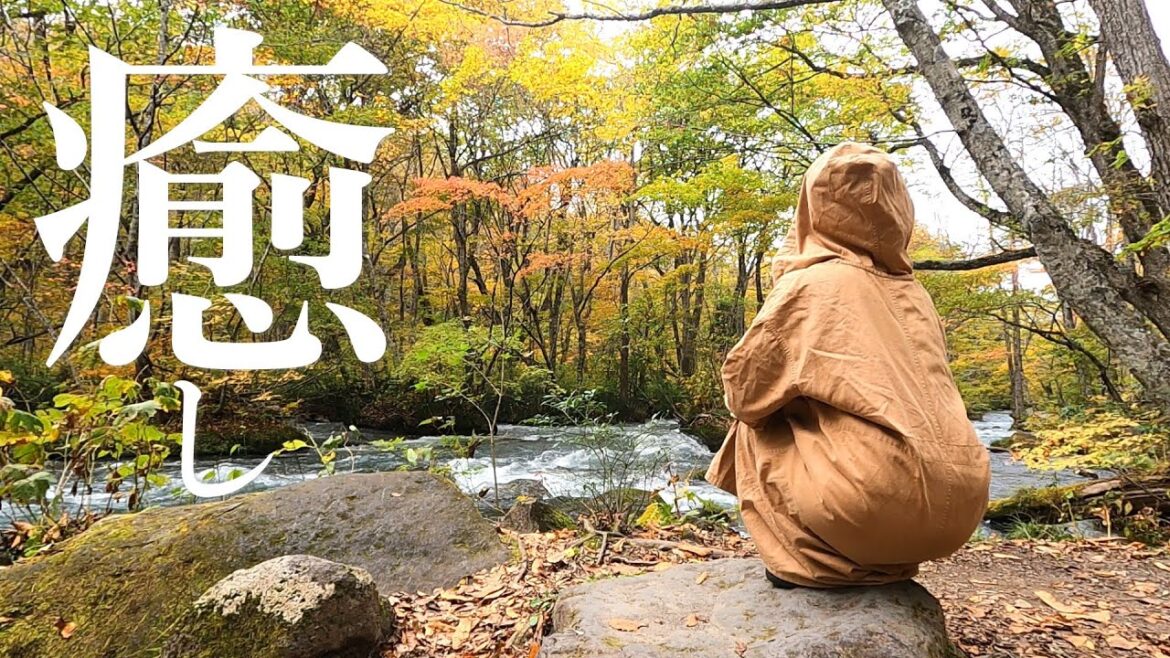 青森で興奮が止まらない女/朽ちる橋/黄金色の奥入瀬/a trip around japan🚙【車中泊で日本一周】 青森で興奮が止まらない女/朽ちる橋/黄金色の奥入瀬/a trip around japan🚙【車中泊で日本一周】