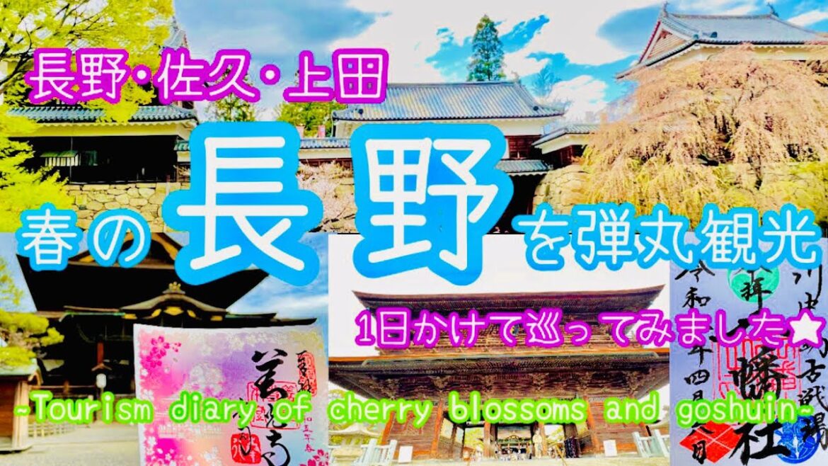 🌸長野観光🌸〜Visiting Zenkoji Temple and sightseeing in Nagano – Trip to Nagano, Saku and Ueda 〜 🌸長野観光🌸〜Visiting Zenkoji Temple and sightseeing in Nagano - Trip to Nagano, Saku and Ueda 〜