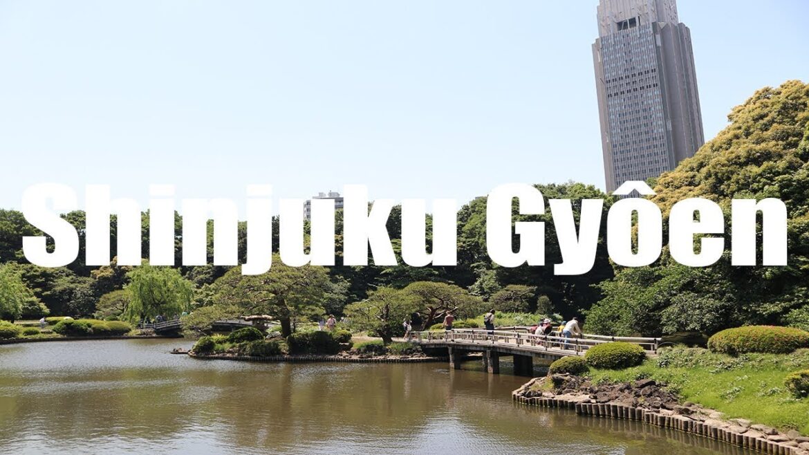 Shinjuku Gyoen Park, Tokyo, Japan, 新宿御苑 | Canon 80D | Virtual Trip Shinjuku Gyoen Park, Tokyo, Japan, 新宿御苑 | Canon 80D | Virtual Trip