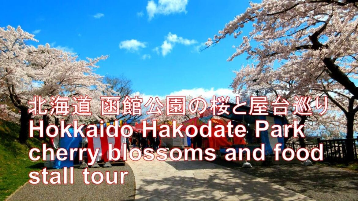 Hokkaido Hakodate Park cherry blossoms and food stall tour