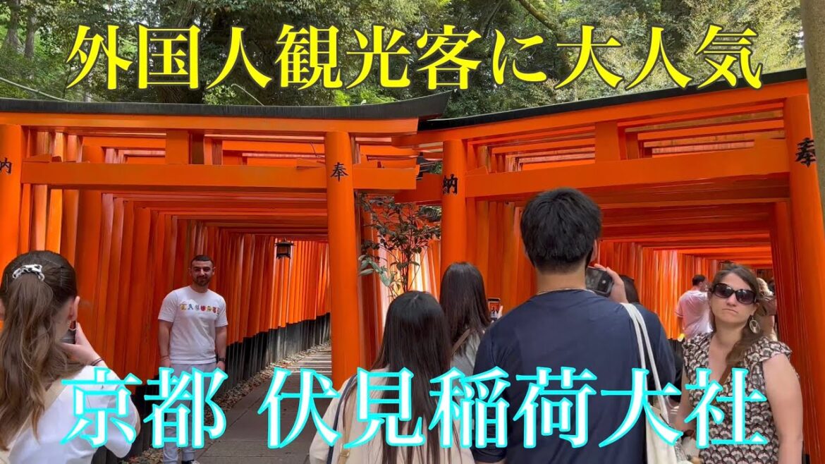 2023年4月21日 【外国人観光客に大人気の京都】伏見稲荷大社を歩く 【4K】Walk in Fushimi-inari-taisha Shrine