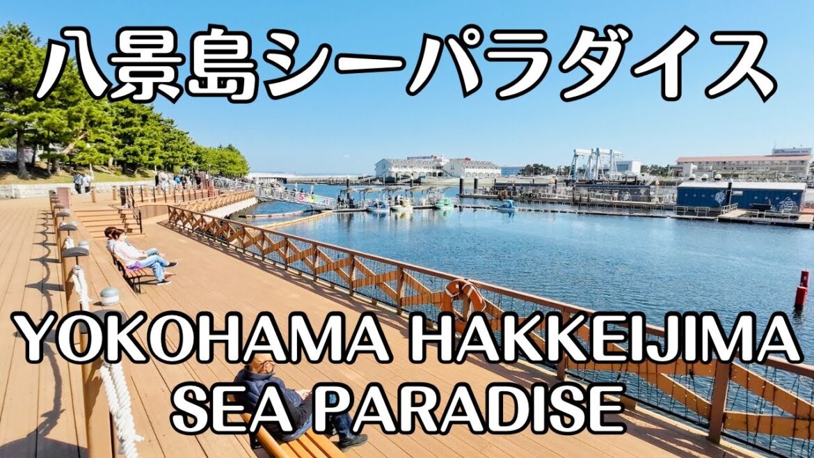 【4K】Exploring Japan's Ultimate Marine Theme Park | Yokohama Hakkeijima Sea Paradise