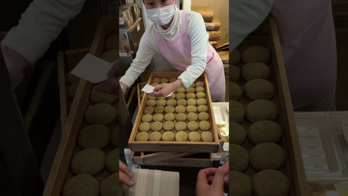 Best mochi place in japan. #travel #japan #narapark #food #foodie #2023 #trendingshorts #nagoya #yum