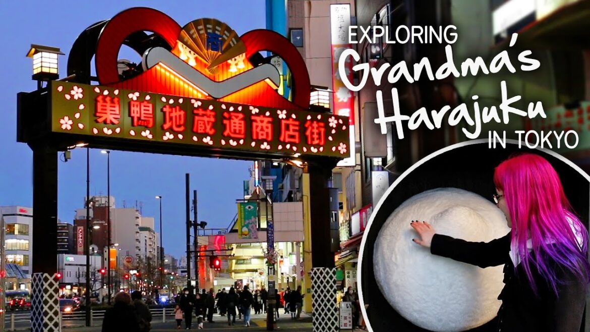 A Walk around SUGAMO: Grandma's Harajuku in Tokyo!
