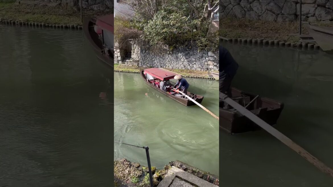 Cruise the scenic moats of Omihachinan 🇯🇵 Hachiman-bori Canal #shiga #japan #tour #shorts