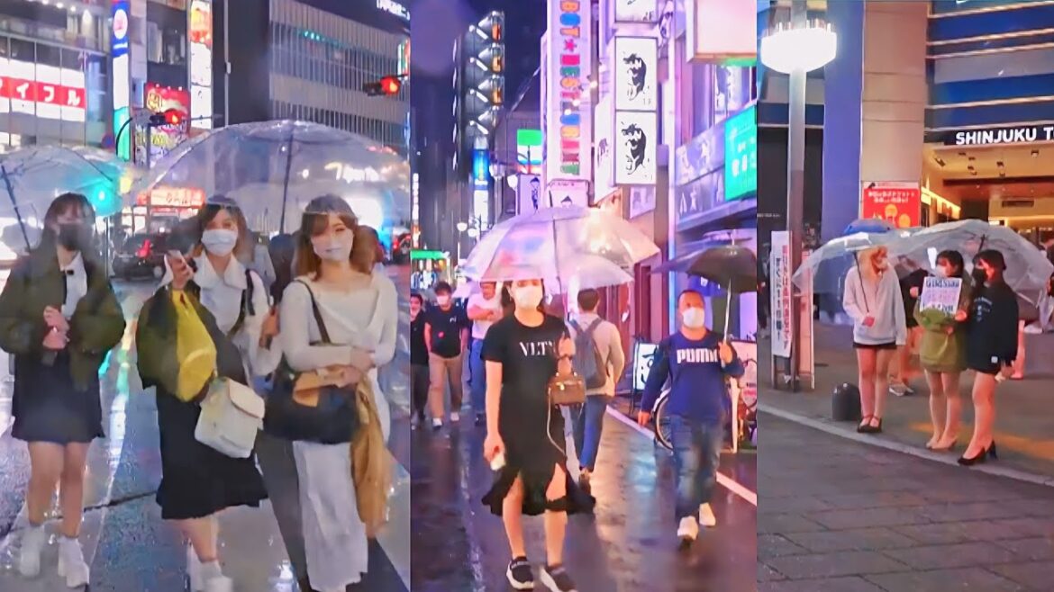 Tokyo Shinjuku Rainy Nightlife Full Of Fun