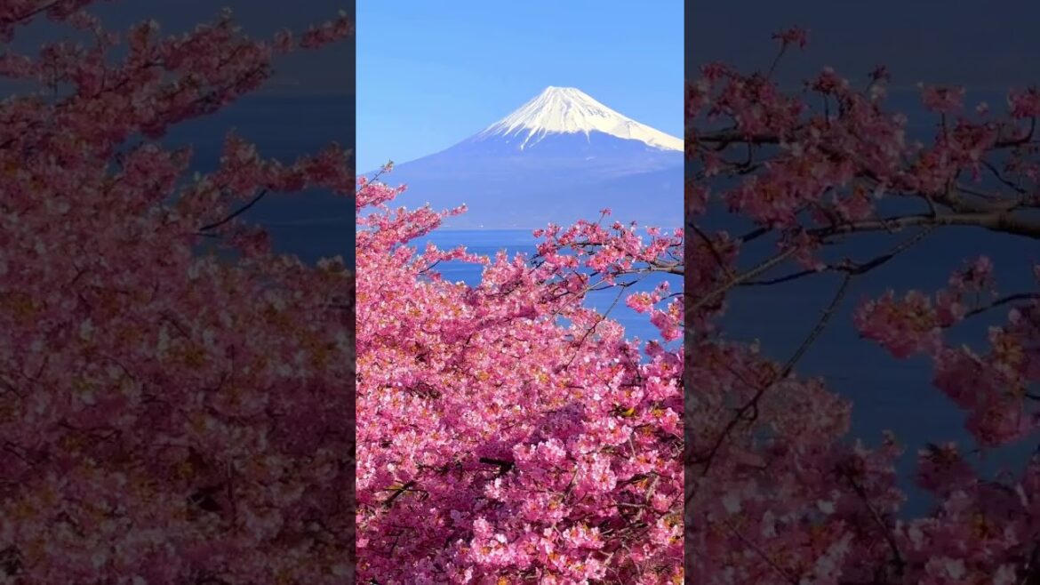 Mount Fuji, Japan #travel #japan #trending #shorts Mount Fuji, Japan #travel #japan #trending #shorts