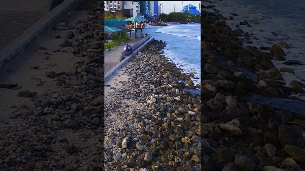 Upload short video on YouTube, মালদ্বীপ সমুদ্রের পারে পার্ক, #short #shortvideo #youtubeshort #viral