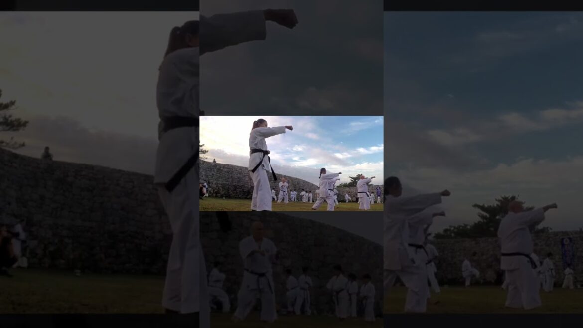 Okinawa Japan a short guide Vol #1