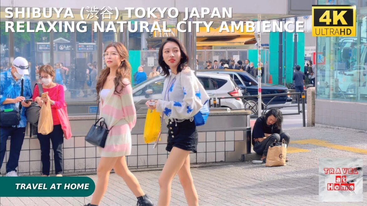 4k hdr japan travel | Walk in Shibuya (渋谷) Tokyo japan | Relaxing Natural City ambience 4k hdr japan travel | Walk in Shibuya (渋谷) Tokyo japan | Relaxing Natural City ambience