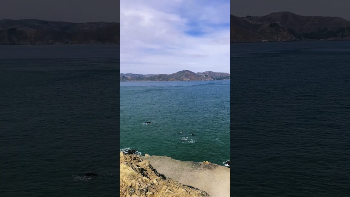 Enjoying the View from Land’s End in San Francisco