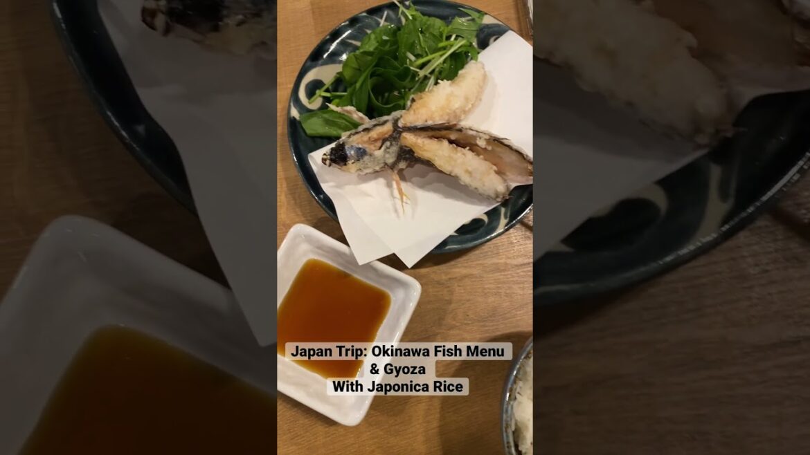 Japan Trip: Okinawa Fish Menu & Gyoza With Japonica Rice