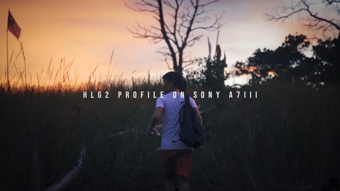 HLG2 PROFILE ON A7III | CINEMATIC VLOG | TAMRON 28-75 | BUKIT JANGGUT, SEPANGGAR, SABAH