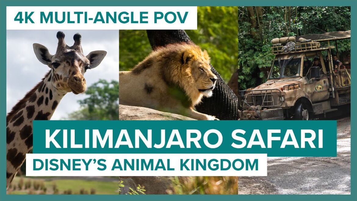 Kilimanjaro Safari Full POV at Disney’s Animal Kingdom
