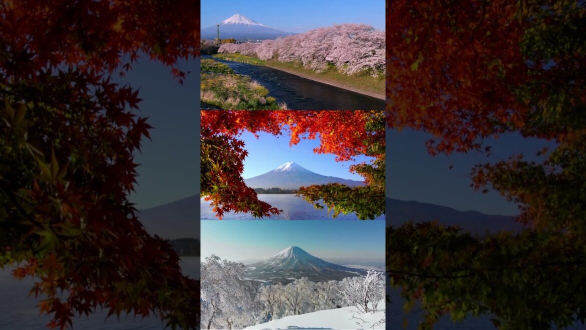 Mt. Fuji Through the Seasons | Triple View #Shorts