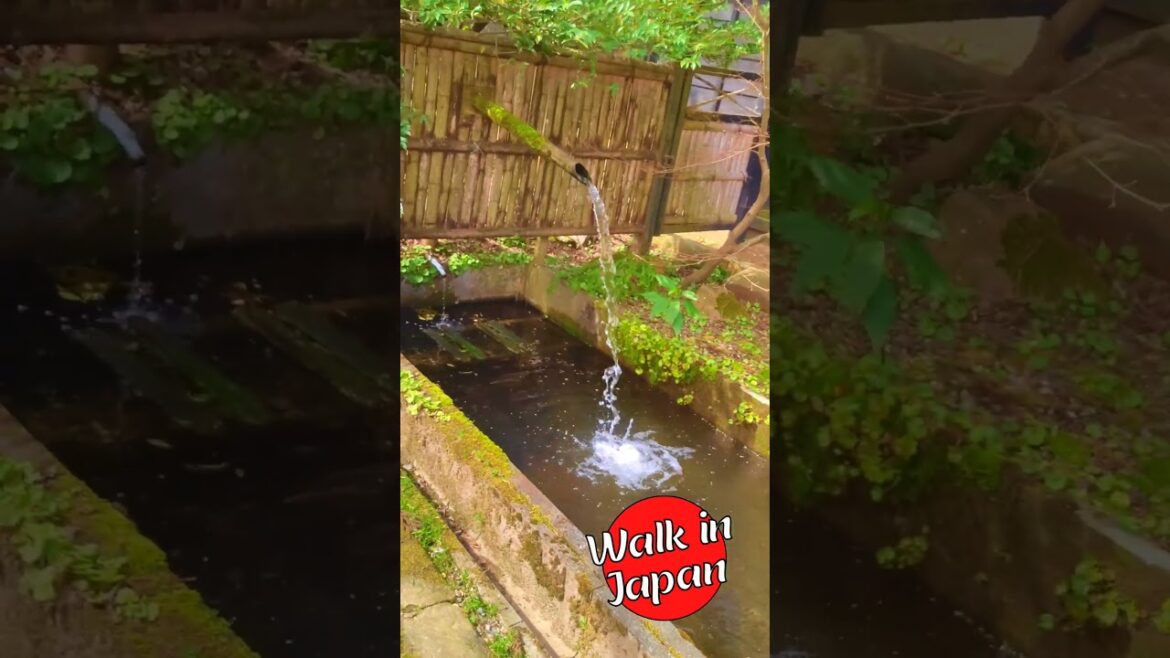 Bamboo Water Fountain at a Historic Japanese Estate #shorts