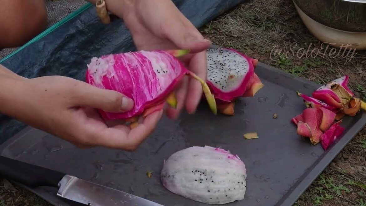 Naked camping with Solo Tetty❤️yoga in nature/beauty eats dragon fruit😍