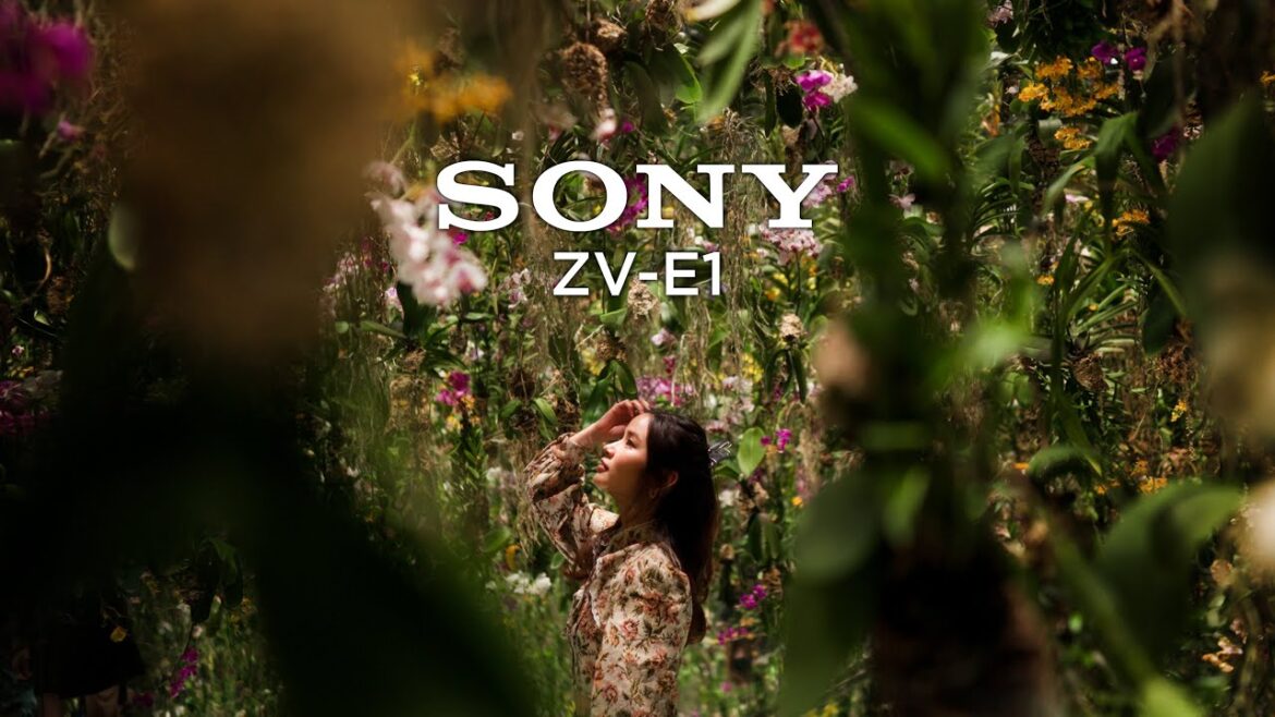 Sony ZV-E1 | 5 Days In Japan w/ Sony Australia (Cinematic Handheld) Sony ZV-E1 | 5 Days In Japan w/ Sony Australia (Cinematic Handheld)