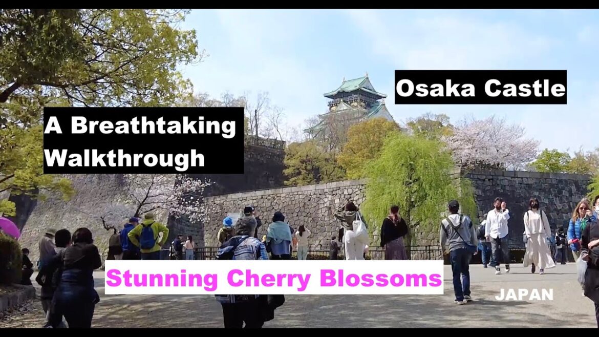 Cherry Blossom Season at Osaka Castle - A Breathtaking Walkthrough | Spring JAPAN 2023 | 4K