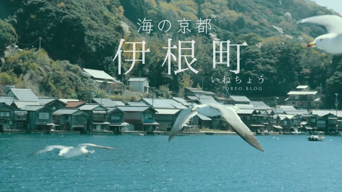 VLOG |海之京都 ❤️ 伊根の舟屋+天橋立+丹後鐵道  京都一日來回一天能走完嗎? VLOG |海之京都 ❤️ 伊根の舟屋+天橋立+丹後鐵道  京都一日來回一天能走完嗎?