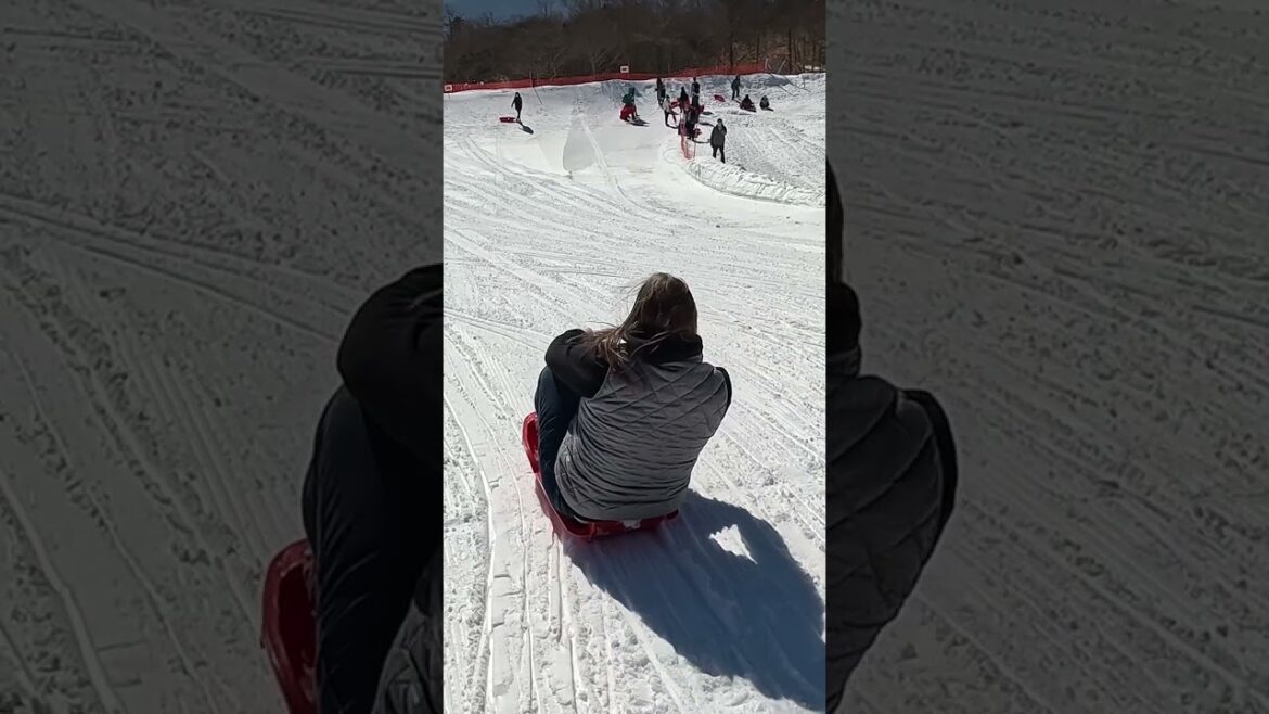 In Japan during the winter, you can go sledding on Mt. Fuji.