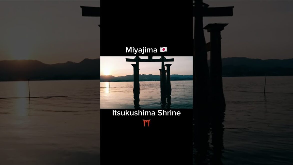 Miyajima Japan 🇯🇵 Itsukushima Shrine ⛩ #japan #short #shorts #travel #vacation #explore #shortsfeed Miyajima Japan 🇯🇵 Itsukushima Shrine ⛩ #japan #short #shorts #travel #vacation #explore #shortsfeed