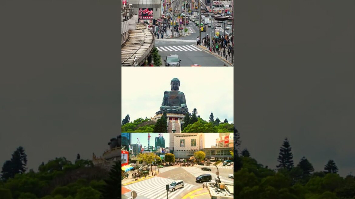 City Rush and Serene Buddha | Triple View #Shorts