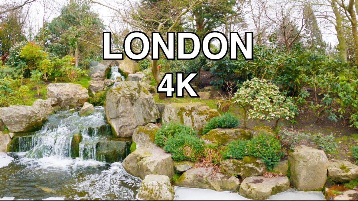 Holland Park & Kyoto Gardens | London | Walk | 4K Holland Park & Kyoto Gardens | London | Walk | 4K