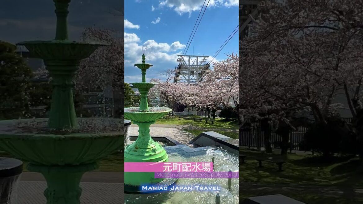 北海道 函館のお花見スポットツアー 函館山方面 2023/04/22 北海道 函館のお花見スポットツアー 函館山方面 2023/04/22