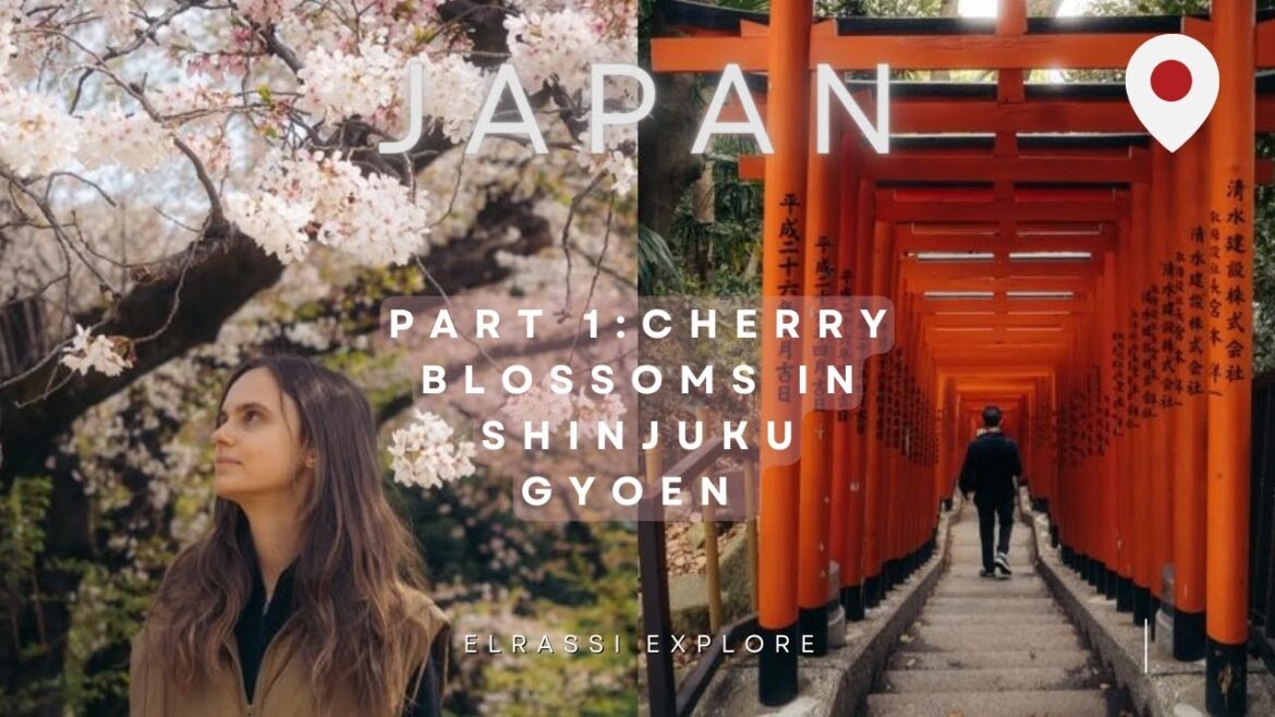 Japan Travel Vlog 🇯🇵 Tokyo (Part 1) – Cherry Blossoms in Shinjuku Gyoen + Hidden Tori Gates! Japan Travel Vlog 🇯🇵 Tokyo (Part 1) - Cherry Blossoms in Shinjuku Gyoen + Hidden Tori Gates!