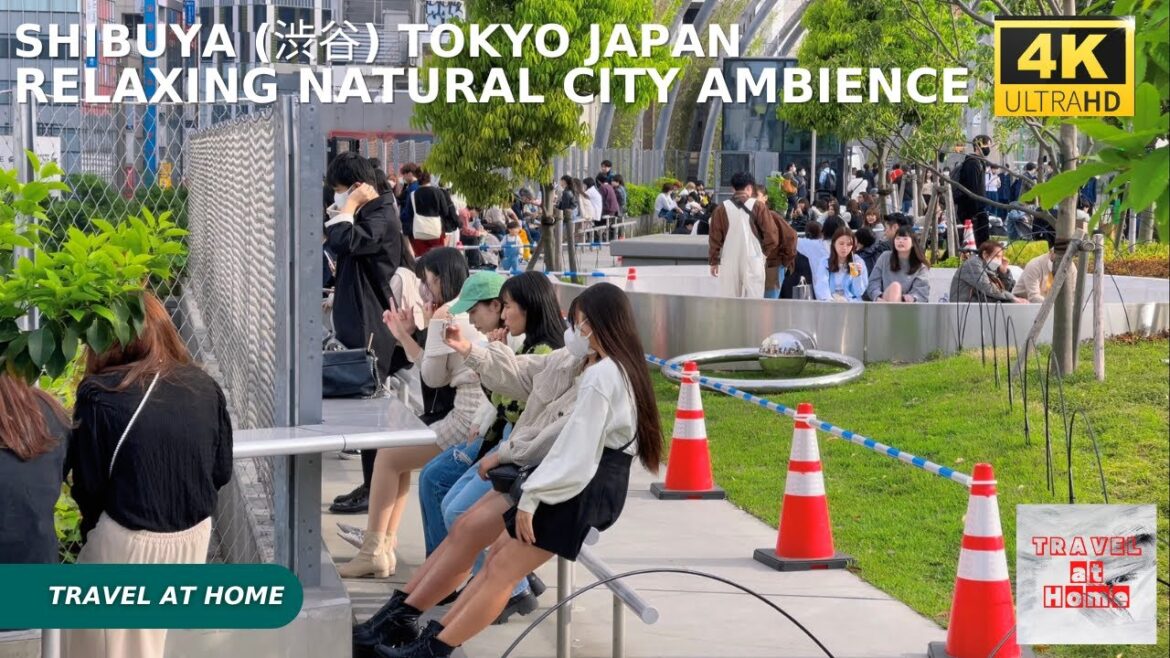 4k hdr japan travel | Walk in Shibuya (渋谷) Tokyo japan |  Relaxing Natural City ambience