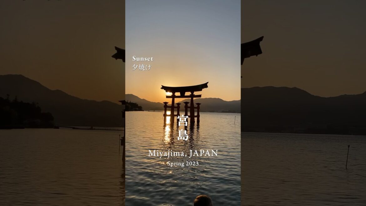 Miyajima Island 1 day trip🇯🇵 Introduction in 24 seconds. Full video is in comments. #shorts Miyajima Island 1 day trip🇯🇵 Introduction in 24 seconds. Full video is in comments. #shorts
