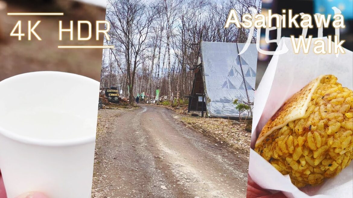 Drink birch sap at spring forest garden festival in Asahikawa, Hokkaido, Japan | 4K HDR