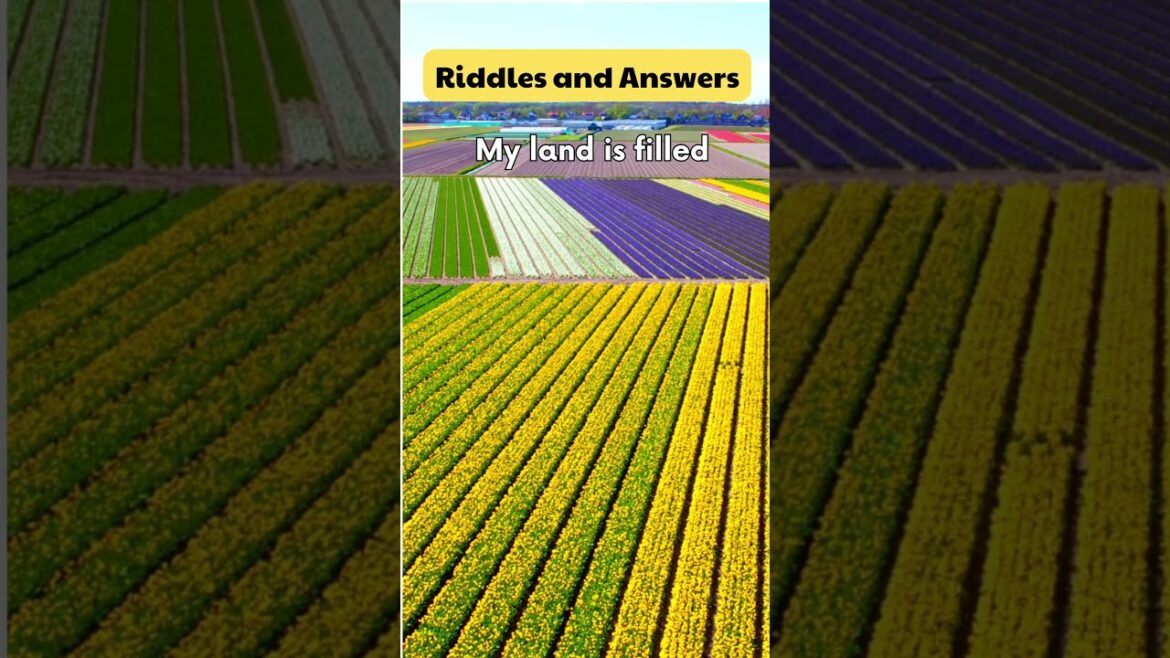 Guess the Country part 4 #riddle #riddleswithanswers #riddles Guess the Country part 4 #riddle #riddleswithanswers #riddles