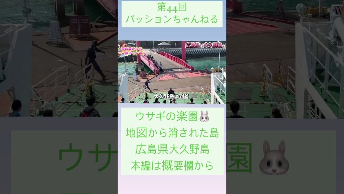 #広島県 #大久野島 #旅行動画 #一人旅 #旅行 #travel #JAPAN #HIROSHIMA #大久野島のうさぎさん  #広島旅行 #ウサギ #廃墟 #電力場跡 #忠海 #shorts