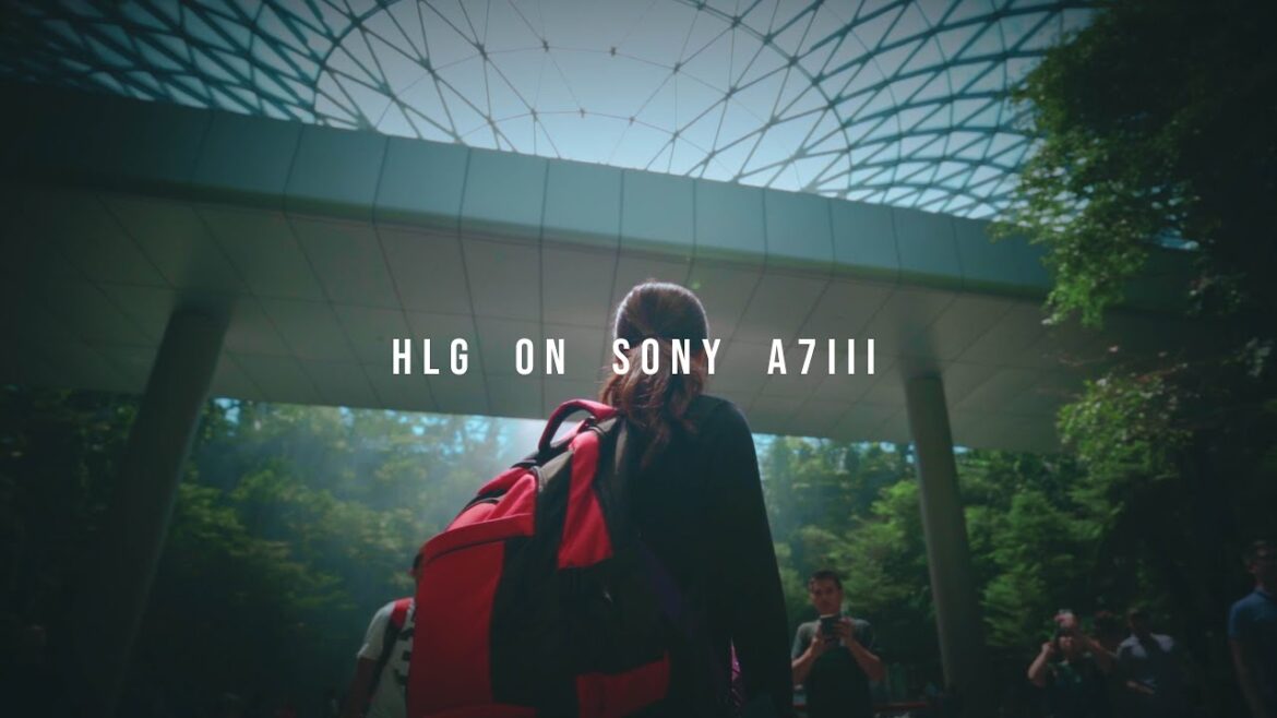 HLG ON a7iii | CINEMATIC VLOG | SINGAPORE | CHANGI AIRPORT | TAMRON17-28 | TAMRON 28-75 | SONY 85