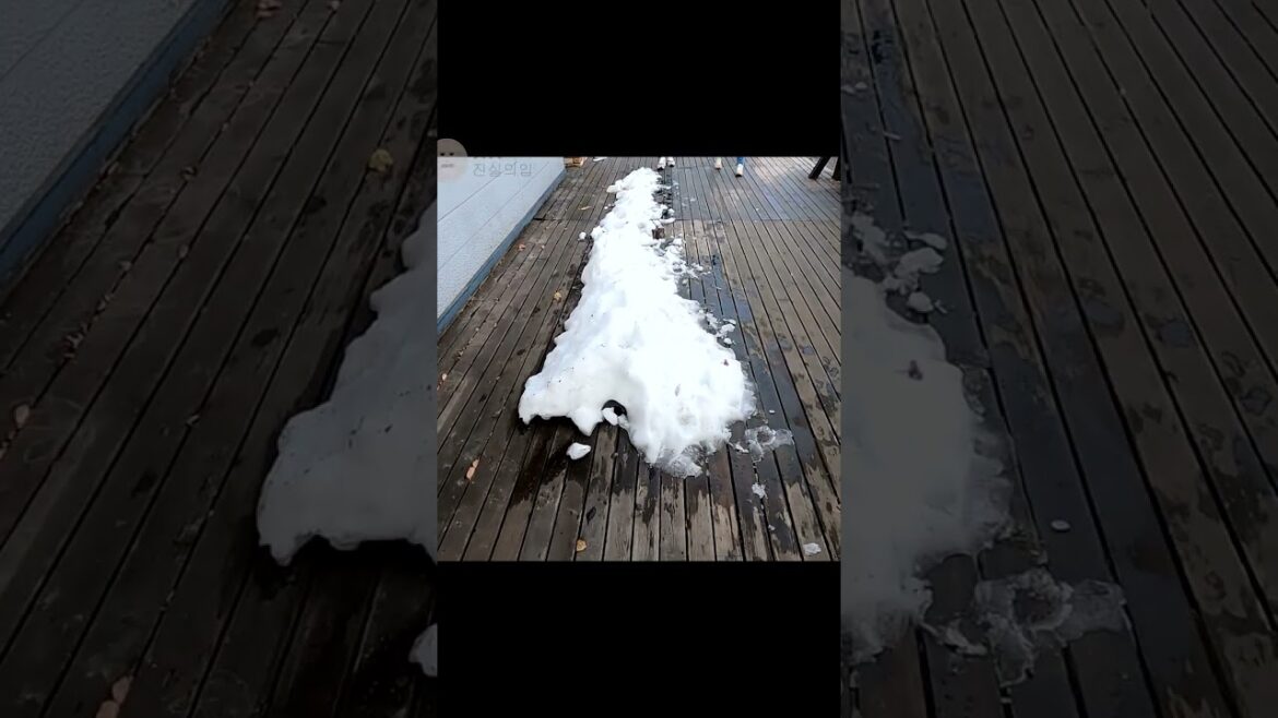 홋카이도 도야호 젤라또 레이크 팜 힐 #shorts