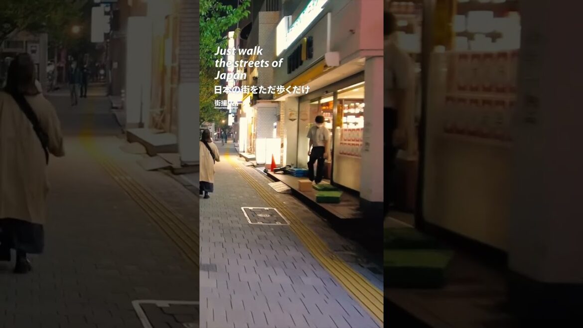 Tokyo: Sakura Shinmachi Station (桜新町駅) - Japan Walking Tour #shorts #shortsvideo