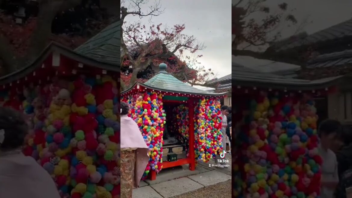 Exploring KYOTO | Arashiyama, Kyomizu-dera, Fushimi Inari Taisha | Japan Travel | #Shorts